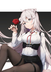 Rule 34 | 1girl, absurdres, ahoge, animal ears, bad id, bad twitter id, black nails, black pantyhose, black shorts, breasts, closed mouth, collared shirt, corset, ear piercing, eyes visible through hair, fingernails, flower, grey eyes, hair between eyes, highres, holding, holding flower, hololive, knee up, large breasts, lion ears, long hair, long sleeves, looking at viewer, nail polish, pantyhose, piercing, red flower, red rose, rose, sharp fingernails, shirt, shishiro botan, shishiro botan (button-down), short shorts, shorts, shyi, silver hair, simple background, sitting, solo, thigh strap, very long hair, virtual youtuber, white shirt