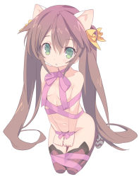 Rule 34 | 10s, 1girl, animal ears, bdsm, blade (galaxist), bondage, bound, bound wrists, brown hair, cat ears, collarbone, fake animal ears, green eyes, groin, hair ribbon, huang lingyin, infinite stratos, kemonomimi mode, kneeling, long hair, nude, ribbon, simple background, solo, thighhighs, twintails, white background