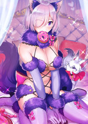 Rule 34 | 1girl, absurdres, animal ears, breasts, elbow gloves, fate/grand order, fate (series), fou (fate), fur-trimmed gloves, fur-trimmed legwear, fur collar, fur trim, gloves, hair over one eye, halloween costume, highres, huge filesize, lace, lace-trimmed legwear, lace trim, large breasts, mash kyrielight, mash kyrielight (dangerous beast), o-ring, o-ring top, official alternate costume, purple eyes, purple gloves, purple hair, purple legwear, revealing clothes, sahara1127, short hair, sitting, tail, wariza, wolf ears, wolf girl, wolf tail
