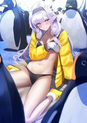Rule 34 | 1girl, absurdres, bikini, bird, black bikini, blue archive, blush, commentary, grey hair, grey hairband, groin, hairband, head tilt, highres, himari (blue archive), jacket, long hair, long sleeves, looking at viewer, manjo (warito), navel, open clothes, open jacket, penguin, pointy ears, purple eyes, shoes, side-tie bikini bottom, sitting, smile, solo, stomach, swimsuit, symbol-only commentary, thighs, very long hair, wariza, yellow footwear, yellow jacket