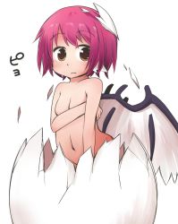 Rule 34 | 1girl, animal ears, bird wings, blush, breasts, covering privates, covering breasts, eggshell, frown, hatching, jagabutter, looking at viewer, mystia lorelei, navel, nude, pink hair, small breasts, solo, touhou, wings, yellow eyes