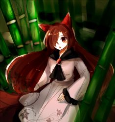 Rule 34 | 1girl, animal ears, bamboo, bamboo forest, brooch, brown hair, forest, hair over one eye, imaizumi kagerou, jewelry, long hair, mayo (mayomr29), nature, red eyes, solo, touhou, very long hair, wide sleeves, wolf ears