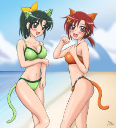 Rule 34 | 10s, 2girls, animal ears, beach, bikini, blush, breasts, cat ears, cat tail, cleavage, day, fang, green eyes, green hair, highres, hino akane (smile precure!), midorikawa nao, multiple girls, navel, open mouth, ouse riruka, ponytail, precure, red eyes, red hair, short hair, smile precure!, swimsuit, tail