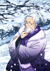 Rule 34 | 1boy, beard, black eyes, blurry, blurry background, day, facial hair, glasses, hand on own chin, highres, japanese clothes, kimono, male focus, musasabiop, mustache, one piece, outdoors, ponytail, scar, scar across eye, scar on face, short hair, silvers rayleigh, smile, snowflakes, upper body, white hair, white kimono, winter, winter clothes