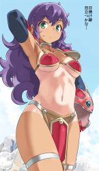 Rule 34 | 1girl, armor, armpits, bikini armor, breasts, choker, closed mouth, commentary request, dragon quest, dragon quest iii, elbow gloves, gloves, helmet, imaichi, large breasts, long hair, looking at viewer, navel, purple hair, red armor, soldier (dq3), solo, tan, tanline, winged helmet