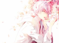 Rule 34 | 1boy, backlighting, bloom, blue eyes, branch, cherry blossoms, commentary request, ensemble stars!, flower, grey hair, hair between eyes, hands up, hood, hood down, hoodie, kina (446964), long sleeves, looking at viewer, male focus, open clothes, open hoodie, open mouth, petals, pink flower, sena izumi (ensemble stars!), short hair, sidelocks, simple background, sketch, solo, teeth, upper body, upper teeth only, white background, white hoodie