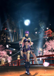 Rule 34 | 1girl, 3d, anklet, ayane (doa), bow, breasts, bridge, building, cherry blossoms, city, dead or alive, highres, huge breasts, jewelry, katana, kunai, large breasts, moon, ninja, ninja gaiden, ninja gaiden sigma 2, official art, purple hair, red eyes, scarf, skirt, skyscraper, solo, statue, sword, weapon