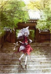 Rule 34 | 1girl, absurdres, animal ears, banpai akira, facial mark, fox ears, fox tail, from behind, gate, highres, long hair, looking at viewer, looking back, non-web source, original, scan, solo, stairs, tail, white hair