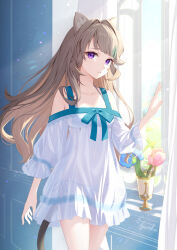 Rule 34 | 1girl, animal ears, arm at side, bare shoulders, bra, brown hair, cat ears, cat girl, cat tail, collarbone, cowboy shot, curtains, day, dress, facial mark, flower, genshin impact, hair intakes, hand up, highres, indoors, legs together, long bangs, long hair, long sleeves, looking at viewer, lynette (genshin impact), off-shoulder dress, off shoulder, open window, panties, pink flower, pink tulip, purple eyes, see-through, see-through dress, side-tie panties, sidelocks, signature, solo, star (symbol), star facial mark, stomach, straight hair, tail, tulip, tyenka7728, underwear, vase, white bra, white dress, white panties, window