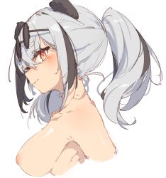Rule 34 | 1girl, arknights, black hair, blush, breasts, closed mouth, collarbone, commentary request, completely nude, cropped torso, eyewear on head, feater (arknights), highres, large breasts, long hair, looking to the side, multicolored hair, nipples, nude, profile, rasusurasu, red eyes, round eyewear, silver hair, simple background, smile, solo, streaked hair, sunglasses, twintails, two-tone hair, upper body, white background