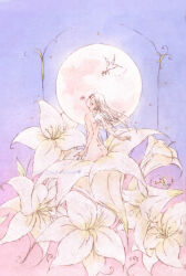 Rule 34 | 1girl, absurdres, angel wings, artist name, ass, back, blue sky, breasts, closed eyes, eyelashes, flower, from behind, full moon, highres, lily (flower), long hair, moon, nude, original, oversized flower, petals, pink flower, pink rose, pixiv username, rose, sainte lune, scenery, sitting, sky, small breasts, solo, star (symbol), white flower, white hair, white lily, wide shot, wings