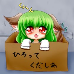 Rule 34 | 1girl, animal ears, blush, box, cardboard box, dog ears, dorowa no hito, fang, female focus, for adoption, green hair, in box, in container, kazami yuuka, kemonomimi mode, motion lines, open mouth, red eyes, short hair, solo, tail, tears, touhou