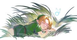 Rule 34 | 1boy, 1other, azuco, blonde hair, cowboy shot, day, facing viewer, fairy, grass, green headwear, green tunic, hat, highres, link, nature, navi, nintendo, on ground, pointy ears, pointy hat, short sleeves, sleeping, sunlight, the legend of zelda, tunic, white background