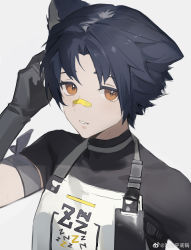Rule 34 | 1boy, animal ears, apron, arknights, armband, bandaid, bandaid on face, bandaid on nose, bishounen, black gloves, black hair, black shirt, blouse, brown eyes, dog boy, dog ears, gloves, hand up, highres, male focus, pingdiguo, shirt, short hair, simple background, solo, upper body, white apron, white background, windflit (arknights)