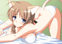 Rule 34 | 1girl, ahoge, animal ears, areola slip, ass, bare shoulders, bed, blue eyes, blush, bra, braid, breasts, brown hair, cat ears, cat tail, cleavage, collarbone, hair ribbon, isa (ni-iro), large breasts, long hair, looking at viewer, lynette bishop, panties, ribbon, shiny skin, strike witches, tail, underwear, white bra, white panties, world witches series