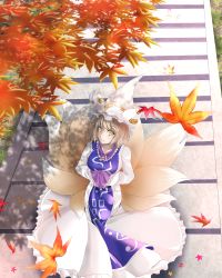 Rule 34 | 1girl, akichiasu, animal hat, autumn, autumn leaves, blonde hair, dress, fox tail, frills, from above, hat, headwear request, highres, leaf, looking at viewer, looking up, maple leaf, mob cap, multiple tails, mob cap, solo, stairs, tabard, tail, tassel, touhou, white dress, yakumo ran, yellow eyes