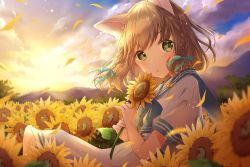 Rule 34 | 1girl, animal ears, blue neckerchief, blue sailor collar, blurry, blurry background, blurry foreground, braid, brown hair, cat ears, cloud, commentary request, dress, field, flower, flower field, gradient sky, green eyes, hair blowing, highres, holding, holding flower, hoshiibara mato, looking at viewer, mountain, neckerchief, original, outdoors, parted lips, petals, sailor collar, sailor dress, short hair, short sleeves, sitting, sky, sleeve cuffs, solo, sunflower, sunflower field, sunset, twin braids, wind