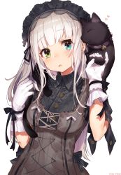 Rule 34 | 1girl, animal, animal on shoulder, artist name, bell, black ribbon, blue eyes, breasts, buttons, cat, collar, eyebrows, gloves, goth fashion, gothic lolita, green eyes, hairband, heart, heterochromia, highres, jingle bell, lolita fashion, lolita hairband, long hair, looking at viewer, medium breasts, mika pikazo, neck bell, original, ribbon, short sleeves, silver hair, simple background, solo, upper body, white background, white gloves, wrist ribbon