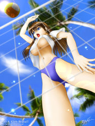 Rule 34 | 1girl, ball, beach, beach volleyball, bikini, blue bikini, blue eyes, breasts, brown hair, clothes lift, cloud, day, dead or alive, from below, hitomi (doa), jumping, large breasts, long hair, open mouth, outdoors, palm tree, shirt lift, sky, solo, standing, swimsuit, tecmo, tree, tropical, underboob, upshirt, volleyball, volleyball (object), volleyball net