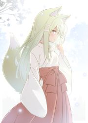 Rule 34 | 1girl, animal ears, bow, branch, brown eyes, closed mouth, commentary, fox ears, fox girl, fox tail, fujisaki yuu, green hair, hair between eyes, hakama, hakama skirt, hand up, japanese clothes, kimono, long sleeves, looking at viewer, miko, original, red bow, red hakama, skirt, snowing, solo, symbol-only commentary, tail, tail raised, white kimono, wide sleeves