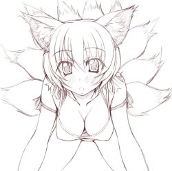 Rule 34 | 1girl, :o, all fours, alternate costume, animal ears, bent over, blush, breasts, cleavage, contemporary, covered erect nipples, downblouse, female focus, fox ears, fox tail, greyscale, large breasts, looking at viewer, monochrome, multiple tails, open mouth, ribbon, short hair, simple background, sin-go, sketch, solo, staring, tail, touhou, white background, yakumo ran