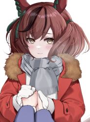 Rule 34 | animal ears, blush, brown eyes, brown hair, commentary request, hair between eyes, hair ornament, highres, holding hands, horse ears, horse girl, looking at viewer, mino (mii mt), mittens, nice nature (umamusume), portrait, pov, pov hands, scarf, simple background, smile, umamusume, white background, winter clothes