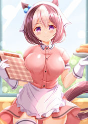 Rule 34 | 1girl, animal ears, apron, bad id, bad pixiv id, blend s, blush, breasts, brown hair, carrot, closed mouth, collared shirt, commentary request, cosplay, day, dress shirt, frilled apron, frills, gloves, hair between eyes, head scarf, highres, holding, holding menu, holding plate, horse ears, horse girl, horse tail, indoors, medium breasts, menu, multicolored hair, pink shirt, pink skirt, plate, puffy short sleeves, puffy sleeves, purple eyes, sakuranomiya maika, sakuranomiya maika (cosplay), shirt, short sleeves, skirt, smile, solo, special week (umamusume), stile uniform, tail, thighhighs, two-tone hair, umamusume, uniform, voice actor connection, waist apron, waitress, waki azumi, white apron, white gloves, white hair, white thighhighs, window, xenon (for achieve)