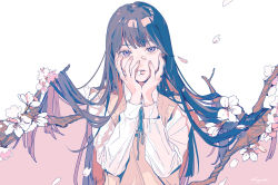 Rule 34 | 1girl, absurdres, black hair, branch, cherry blossoms, colored inner hair, dress shirt, fingernails, flower, hair flowing over, hand on own face, highres, long hair, long sleeves, multicolored hair, original, pastel colors, petals, pink background, pink theme, purple eyes, purple theme, ribbon, shirt, solo, spring (season), suemare1, sweater vest, two-tone background, two-tone hair, vest, white background, white flower, white shirt