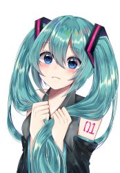 Rule 34 | 1girl, absurdres, aqua eyes, aqua hair, bare shoulders, blue eyes, blush, commentary, detached sleeves, frown, green hair, hair between eyes, hair ornament, hatsune miku, highres, holding, holding own hair, long hair, looking at viewer, nerua, simple background, sleeveless, solo, twintails, very long hair, vocaloid, white background