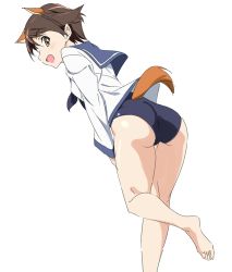 Rule 34 | 1girl, :d, animal ears, ass, barefoot, blue sailor collar, brown eyes, brown hair, legs, long sleeves, looking at viewer, miyafuji yoshika, one-piece swimsuit, open mouth, sailor collar, school swimsuit, school uniform, serafuku, short hair, simple background, smile, soles, solo, strike witches, swimsuit, swimsuit under clothes, tail, umanosuke, white background, world witches series