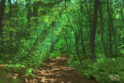 Rule 34 | dappled sunlight, day, forest, landscape, nature, no humans, original, outdoors, path, road, scenery, signature, sunlight, suupii, tree