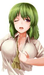 Rule 34 | 1girl, absurdres, ascot, breasts, cleavage, collared shirt, commentary request, green hair, highres, kamiya ueshi, kazami yuuka, large breasts, one eye closed, open mouth, red eyes, shirt, short hair, short sleeves, teeth, touhou, undressing, unfinished, upper body, upper teeth only, white shirt, yellow ascot