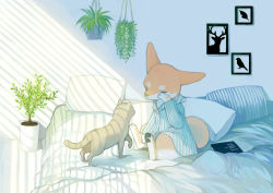 Rule 34 | absurdres, animal, bible (object), book, cat, closed eyes, furry, highres, indoors, mayumochini, on bed, original, pillow, plant, potted plant, sitting, waking up