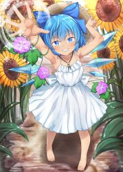 Rule 34 | 1girl, absurdres, armpits, arms up, bare shoulders, barefoot, blue bow, blue eyes, blue hair, blush, bow, brown hat, cirno, closed mouth, dress, flower, hair between eyes, hands up, hat, highres, ice, ice wings, leaf, light, looking at viewer, magic, pechimaru, pink flower, purple flower, short hair, sleeveless, smile, snowflakes, solo, standing, straw hat, sunflower, sunlight, tan, tanned cirno, teeth, touhou, white bow, white dress, wings, yellow flower