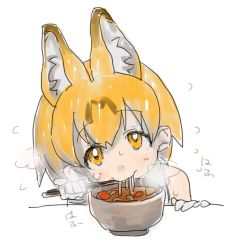 Rule 34 | 10s, 1girl, :3, animal ears, bare shoulders, blush, bowl, chopsticks, chopsticks in mouth, clenched hand, commentary, curry, dot nose, eating, elbow gloves, extra ears, eyelashes, flying sweatdrops, food, food in mouth, gen-san, gen-san (x xxxg), gloves, holding, holding chopsticks, kemono friends, looking at viewer, noodles, orange eyes, orange hair, serval (kemono friends), shirt, short hair, simple background, sketch, sleeveless, sleeveless shirt, solo, sound effects, spicy, sweat, table, tareme, udon, upper body, white background, white shirt, you&#039;re doing it wrong