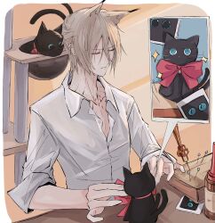 Rule 34 | 1boy, absurdres, animal ear fluff, animal ears, arknights, black cat, blue eyes, bottle, bow, bowtie, brown hair, cat, cat boy, cat ears, cat tower, christine (arknights), closed eyes, collared shirt, commentary, highres, indoors, male focus, material growth, multiple tails, o o, object request, oripathy lesion (arknights), p (hgdsisd), phantom (arknights), pushpin, red bow, shirt, short hair, sleeves rolled up, sparkle, stuffed toy, table, tail, white shirt