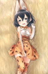 Rule 34 | 10s, 1girl, animal ears, blush, bow, clothes pull, commentary, cosplay, covering privates, covering crotch, elbow gloves, fake animal ears, gloves, highres, kaban (kemono friends), kemono friends, kuro (baseball0000), looking at viewer, lying, on back, open mouth, serval (kemono friends), serval (kemono friends) (cosplay), serval print, serval tail, short hair, skirt, skirt pull, sleeveless, solo, tail