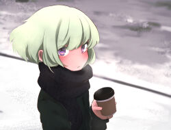 Rule 34 | 1boy, alternate costume, aus vaka, black scarf, blush, closed mouth, coffee, coffee cup, cup, disposable cup, green hair, green sweater, highres, holding, holding cup, lio fotia, looking at viewer, male focus, outdoors, promare, purple eyes, scarf, short hair, snow, solo, steam, sweater, trap, upper body
