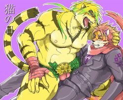 Rule 34 | 2boys, abs, animal ears, bara, black jacket, black pants, blonde hair, blush, brown fur, clenched teeth, collared jacket, commentary request, fangs, from side, furry, furry male, furry with furry, gamma-g, hand on another&#039;s head, hand on own thigh, hand on thighs, jacket, large pectorals, macan (housamo), male focus, multicolored fur, multiple boys, muscular, muscular male, nipples, nomad (housamo), open mouth, orange fur, pants, pectorals, ponytail, red hair, red scarf, scarf, short hair, sitting, sitting on person, stomach, striped, sweatdrop, tail, tape, taped hands, teeth, thick eyebrows, tiger boy, tiger ears, tiger stripes, tiger tail, tokyo houkago summoners, tongue, tongue out, underwear, white fur, yaoi, yellow fur