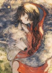 Rule 34 | 1girl, black hair, commentary, closed eyes, flower, highres, little red riding hood, little red riding hood (grimm), long hair, orie h, original, sleeping, wolf