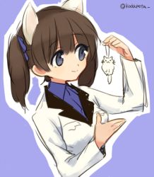 Rule 34 | 10s, 1girl, animal ears, bad id, bad twitter id, brave witches, brown hair, cat ears, charm (object), georgette lemare, hair ribbon, kodamari, long hair, long sleeves, lowres, military, military uniform, ribbon, solo, strike witches, twintails, twitter username, uniform, upper body, world witches series