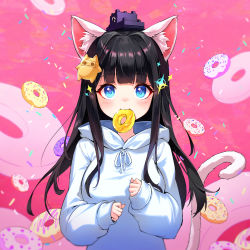 Rule 34 | 1girl, absurdres, animal ear fluff, animal ears, black hair, blue eyes, breasts, cat ears, cat girl, cat tail, doughnut, food, food in mouth, hair ornament, highres, hood, hood down, hoodie, long hair, looking at viewer, medium breasts, minj kim, mouth hold, original, second-party source, sleeves past wrists, solo, tail, upper body, white hoodie
