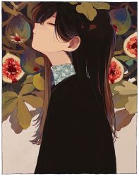 Rule 34 | 1girl, absurdres, black hair, black sweater, border, closed eyes, closed mouth, collared shirt, facing up, fig, floral print, food, from side, fruit, grey shirt, hair behind ear, highres, ka (marukogedago), leaf, long hair, original, profile, shirt, solo, straight hair, sweater, upper body, white border