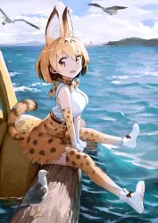 Rule 34 | 10s, 1girl, animal ears, bird, black bow, blonde hair, blue sky, bow, bowtie, breasts, bridge, cloud, cloudy sky, day, elbow gloves, gloves, high-waist skirt, highres, kemono friends, large breasts, log, looking at viewer, ocean, outdoors, seagull, serval (kemono friends), serval print, serval tail, shoes, sitting, skirt, sky, smile, solo, tail, thighhighs, treeware, v arms, water, white footwear, yellow eyes, yellow thighhighs