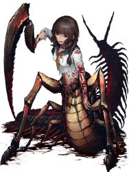 Rule 34 | 1girl, arthropod girl, bleeding, blood, blood on clothes, blood on face, blue sailor collar, braid, breasts, brown eyes, brown hair, centipede girl, collar, cuts, dairoku ryouhei, full body, hetza (hellshock), injury, long hair, looking at viewer, medium breasts, monster girl, navel, neckerchief, open mouth, orange neckerchief, sailor collar, school uniform, serafuku, smile, solo, torn clothes, transparent background, twin braids