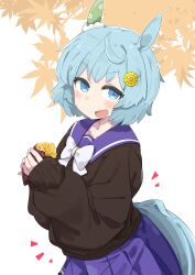 Rule 34 | 1girl, :d, animal ears, blue eyes, blue hair, blue skirt, blush, bow, bowtie, brown cardigan, cardigan, commentary request, flower, food, hair flower, hair ornament, highres, holding, holding food, horse ears, horse girl, horse tail, leaf print, long sleeves, looking at viewer, maple leaf print, open mouth, pleated skirt, school uniform, seiun sky (umamusume), short hair, skirt, smile, sweet potato, tail, totomono, umamusume, upper body, wavy mouth, white background