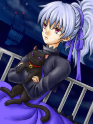 Rule 34 | 00s, 1girl, animal, bell, black cat, carrying, cat, cityscape, collar, darker than black, dress, female focus, hair ribbon, holding, long sleeves, lowres, mao (darker than black), maroon eyes, outdoors, ponytail, purple dress, purple eyes, purple ribbon, railing, ribbon, yin (darker than black)
