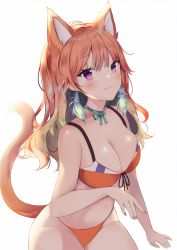 Rule 34 | 1girl, :3, animal ear fluff, animal ears, anyuu, bare arms, bare shoulders, bikini, blush, bow, breasts, brown bikini, brown hair, brown nails, cat ears, cat girl, cat tail, choker, cleavage, closed mouth, earrings, front-tie bikini top, front-tie top, gradient hair, green bow, green hair, green ribbon, hair between eyes, highres, hololive, hololive english, jewelry, kemonomimi mode, long hair, looking at viewer, medium breasts, multicolored hair, nail polish, purple eyes, ribbon, ribbon choker, smile, solo, swimsuit, tail, tail raised, takanashi kiara, virtual youtuber