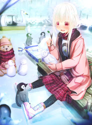 Rule 34 | 1girl, :d, aiuabo, albino, animal, baby penguin, bird, black legwear, blush, boots, child, clothed animal, coat, commentary request, day, dock, dog, frozen lake, gloves, unworn gloves, highres, holding, holding stick, long hair, long scarf, long sleeves, open mouth, original, outdoors, panties, penguin, pink coat, pink headwear, plaid, plaid scarf, plaid skirt, pom pom (clothes), red eyes, red scarf, red skirt, scarf, shovel, sitting, skirt, smile, snow, solo, stick, swan boat, underwear, white footwear, white hair, winter
