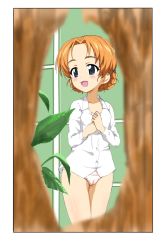 Rule 34 | 1girl, bad id, bad pixiv id, blouse, blue eyes, blurry, blush, braid, breasts, cameltoe, commission, depth of field, girls und panzer, highres, no pants, open mouth, orange hair, orange pekoe (girls und panzer), panties, parted bangs, plant, shirt, skeb commission, small breasts, smile, solo, standing, twin braids, underwear, undressing, white panties, white shirt